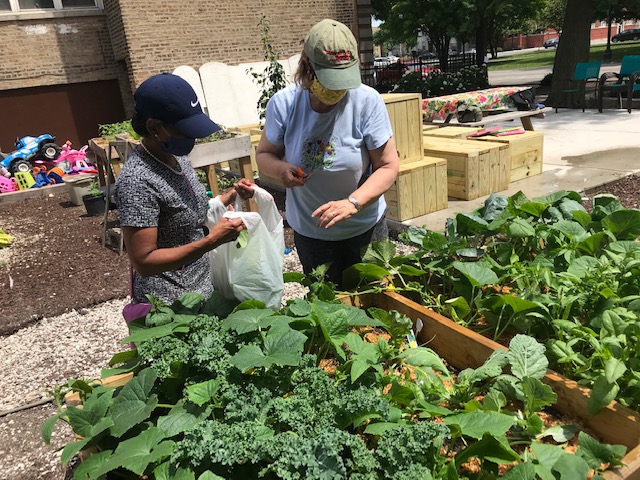 Stone Temple Community Garden